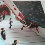 Red Spider Climbing Walls